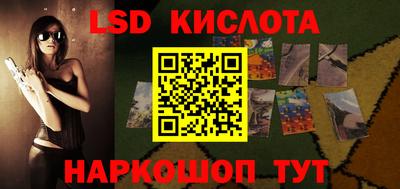 шишки Бийск
