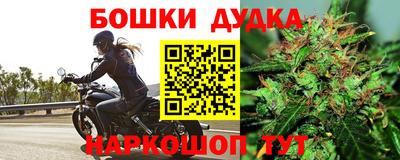шишки Бийск