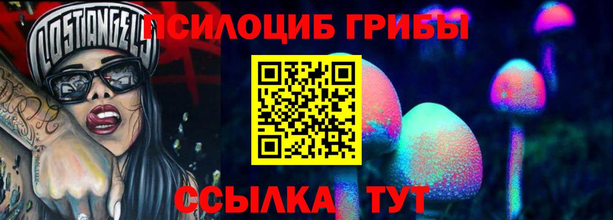 Ковров  Псилоцибиновые грибы GOLDEN TEACHER  Вход с VPN 
